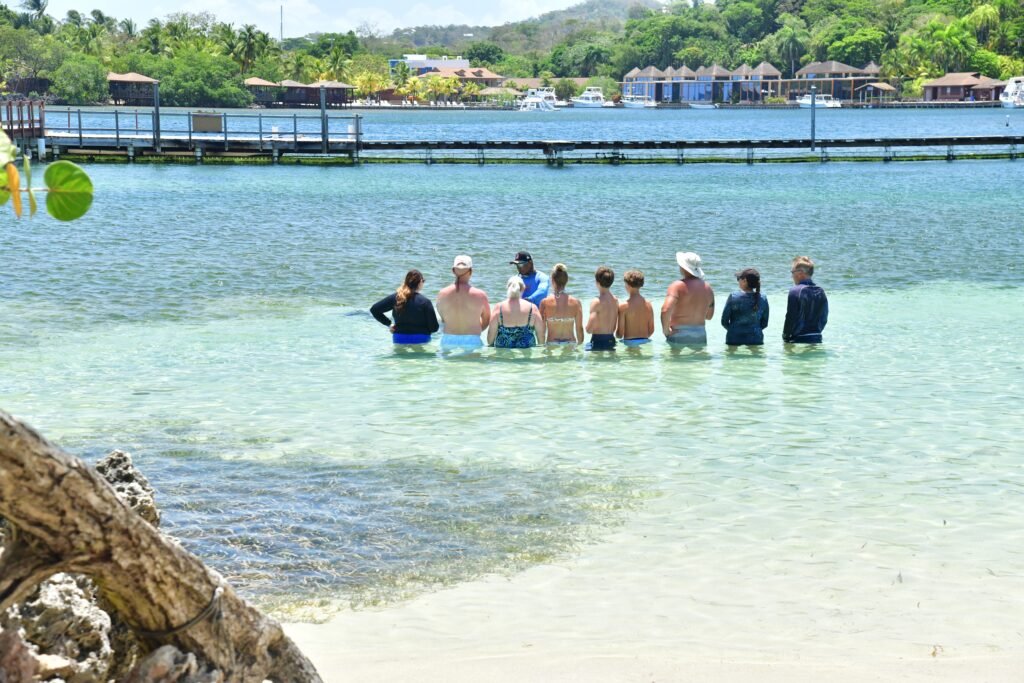 Small group standing in shallow water with a guide in the lagoon at Anthony’s Key Resort in Roatán during a dolphin encounter.