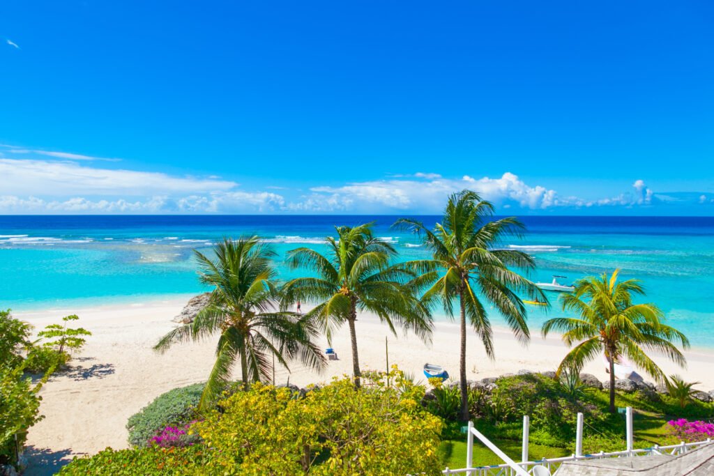 Palm trees frame a white-sand beach and clear turquoise water in Barbados.