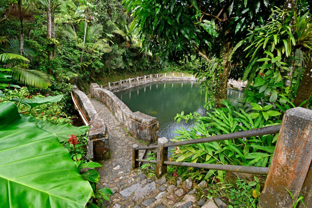 Stone steps and a curving walkway beside a pool of water, surrounded by lush tropical foliage in El Yunque, Puerto Rico.